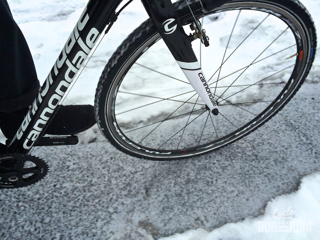 schwalbe winter